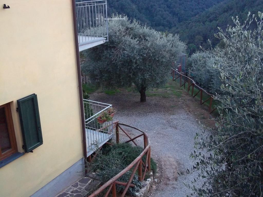 Caddelovi Apartment Fibbialla Room photo